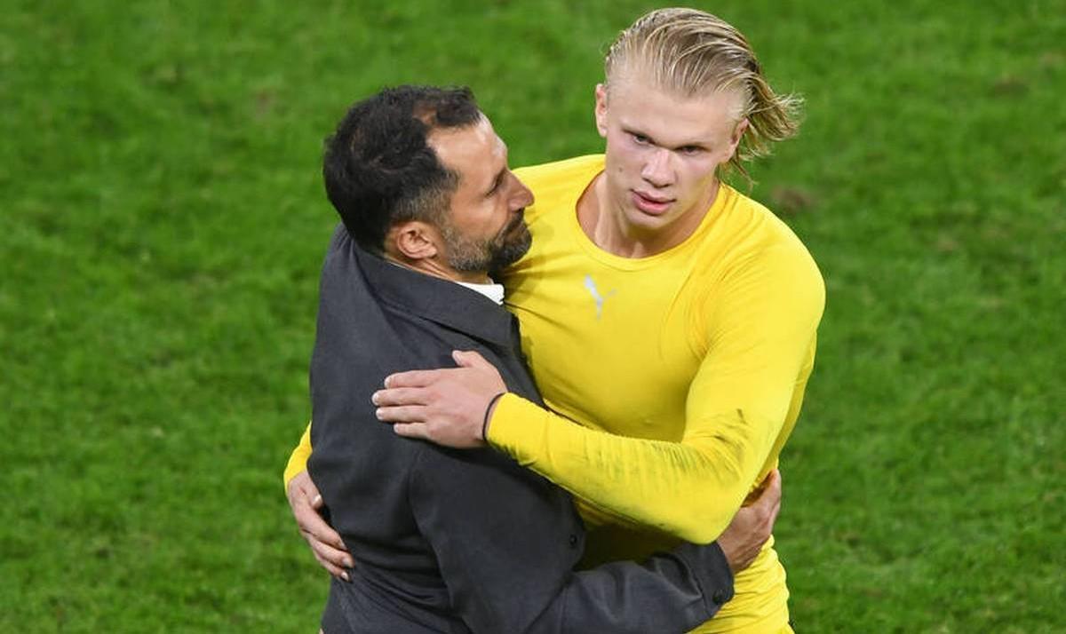 2026世界杯买球入口-法尔克：为签哈兰德，拜仁当年表示愿突破队史未有的财政上限